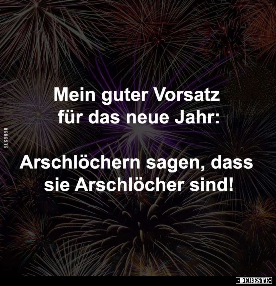 Mein guter Vorsatz
für das neue Jahr:
Arschlöchern sagen, dass
sie Arschlöcher sind!