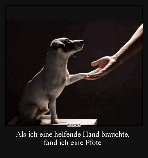 Als ich eine helfende Hand brauchte, fand ich eine Pfote.. - Lustige Bilder | DEBESTE.de
