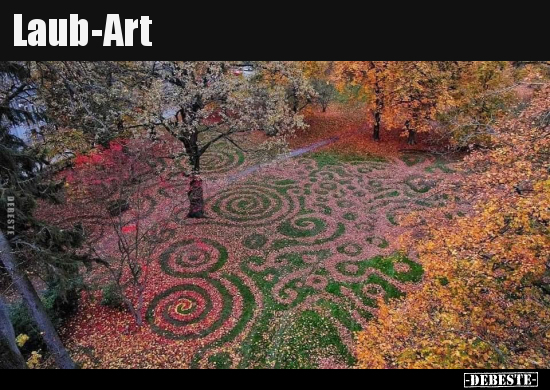 Laub-Art
