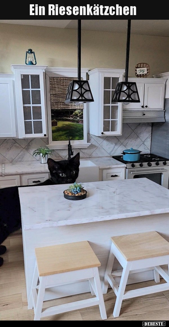 Ein Riesenkätzchen..