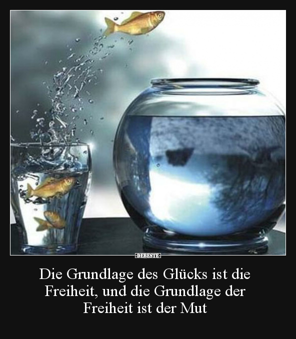 Die Grundlage des Glücks ist die Freiheit, und die.. - Lustige Bilder | DEBESTE.de