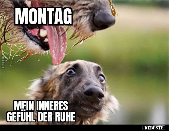 Montag..