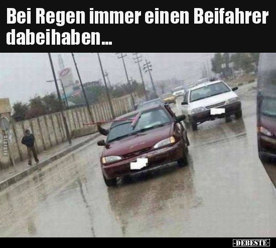 Bei Regen immer einen Beifahrer dabeihaben... - Lustige Bilder | DEBESTE.de