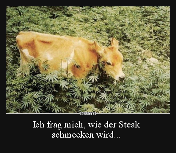 Ich frag mich, wie der Steak schmecken wird...