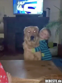 Der Hund gibt seinem Kumpel eine Umarmung..