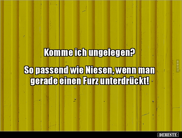 Komme ich ungelegen?
So passend wie Niesen, wenn man
gerade einen Furz unterdrückt!