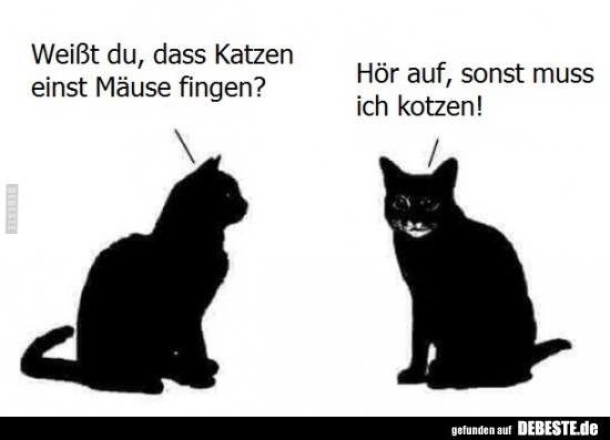 Weißt du, dass Katzen einst Mäuse fingen?..