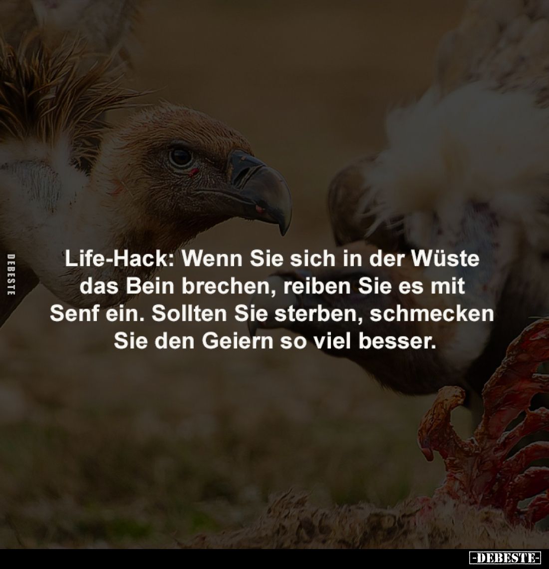 Life-Hack: Wenn Sie sich in der Wüste
das Bein brechen, reiben Sie es mit
Senf ein. Sollten Sie sterben, schmecken
Sie ...