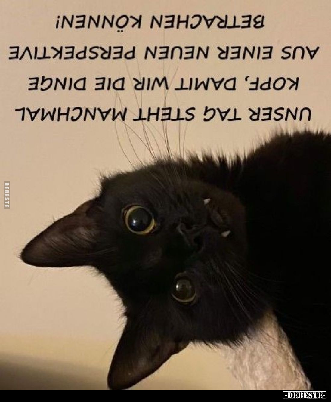 Unser Tag steht manchmal Kopf, damit wir die Dinge aus einer neuen Perspektive betrachten können!