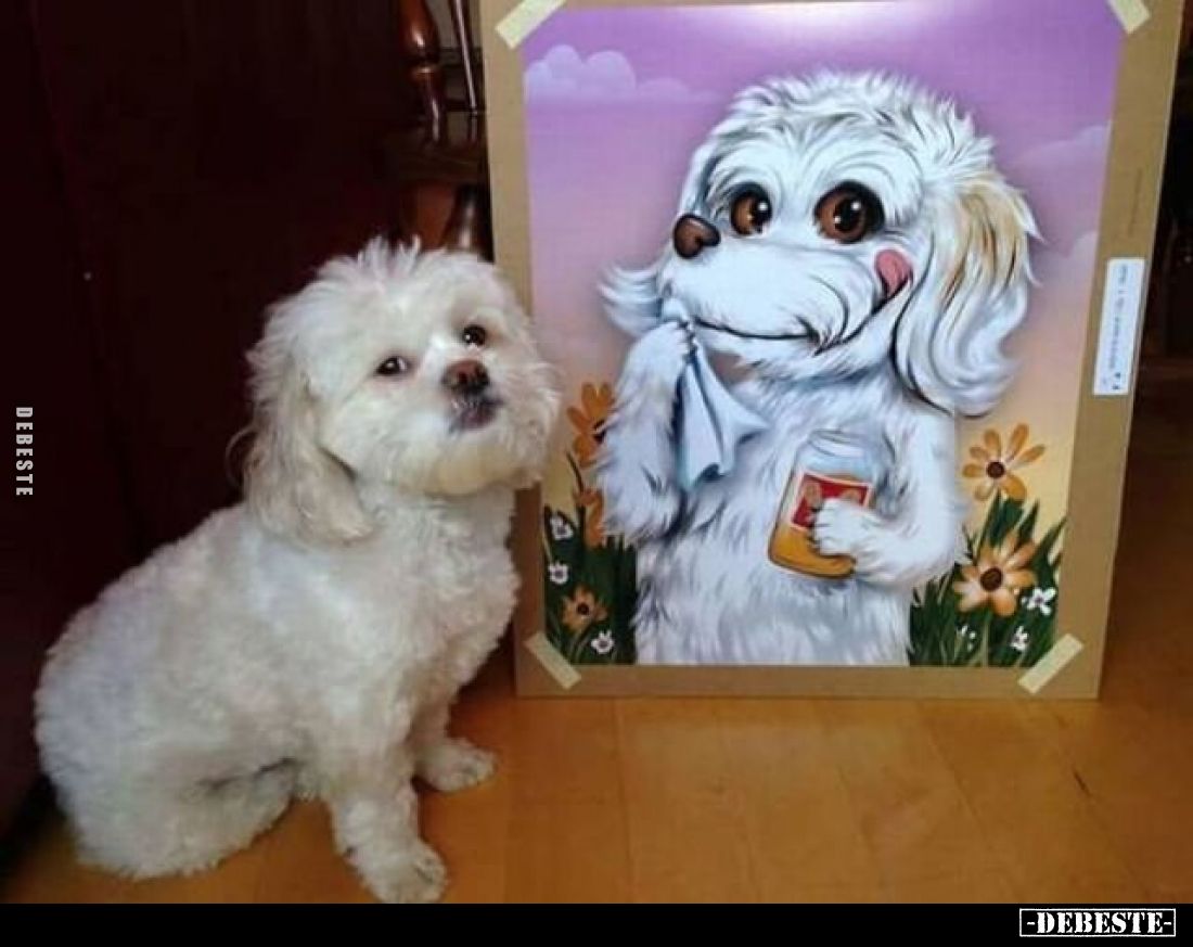  - Lustige Bilder | DEBESTE.de