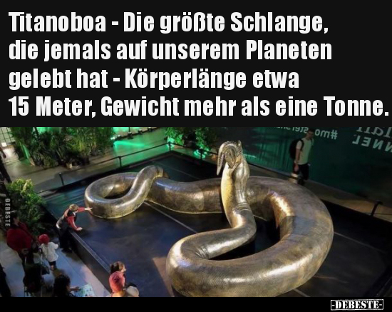 Titanoboa - Die größte Schlange, die jemals auf unserem.. - Lustige Bilder | DEBESTE.de