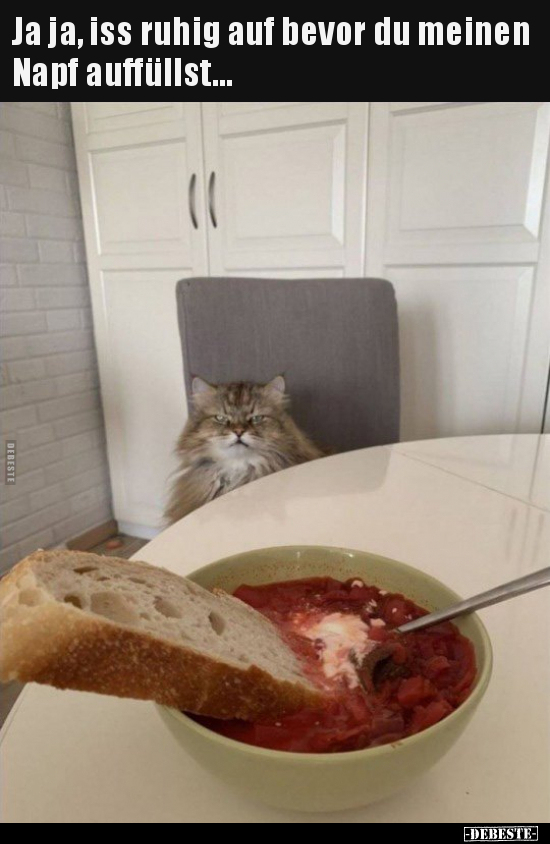 Ja ja, iss ruhig auf bevor du meinen Napf auffüllst...