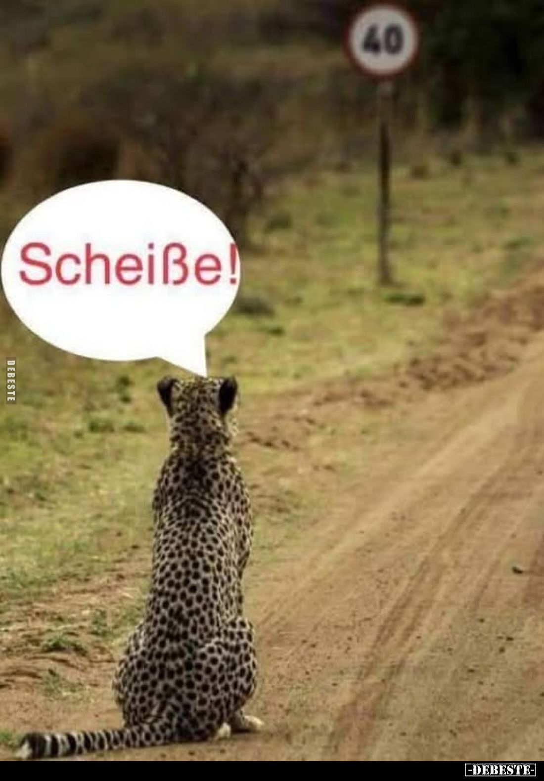 Scheiße!