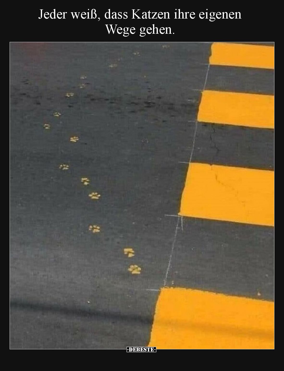 Jeder weiß, dass Katzen ihre eigenen Wege gehen... - Lustige Bilder | DEBESTE.de