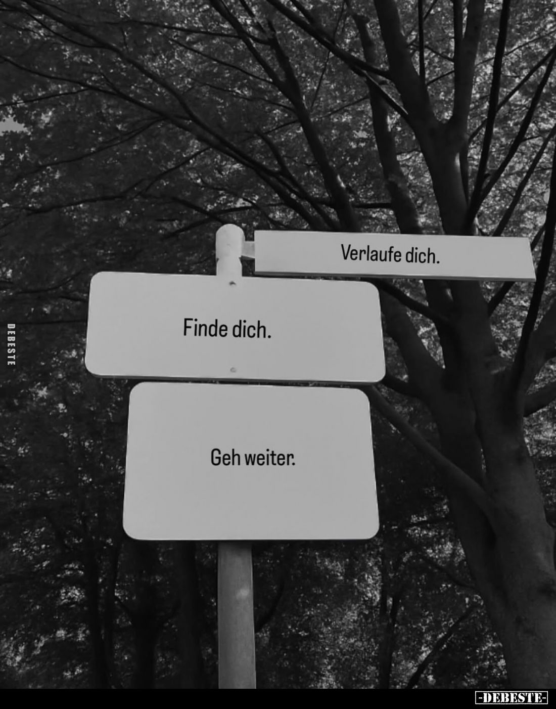 Verlaufe dich. 
Finde dich. 
Geh weiter.