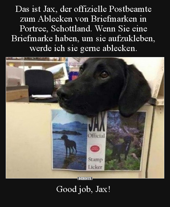Das ist Jax, der offizielle Postbeamte zum Ablecken von.. - Lustige Bilder | DEBESTE.de