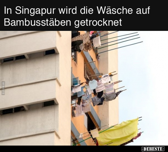 In Singapur wird die Wäsche auf Bambusstäben.. - Lustige Bilder | DEBESTE.de