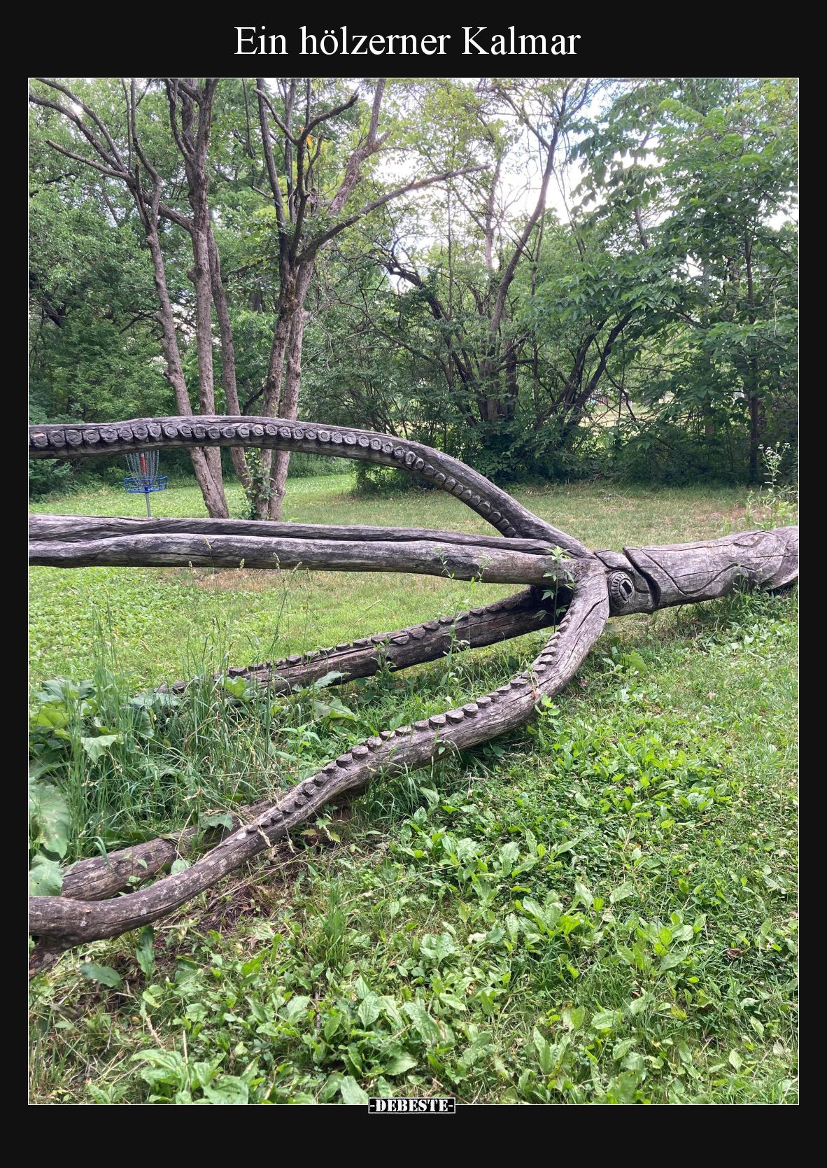 Ein hölzerner Kalmar