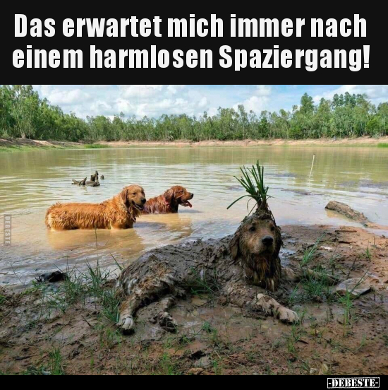 Spaziergang