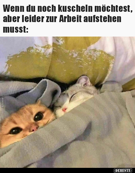 Wenn du noch kuscheln möchtest, aber leider zur Arbeit.. - Lustige Bilder | DEBESTE.de