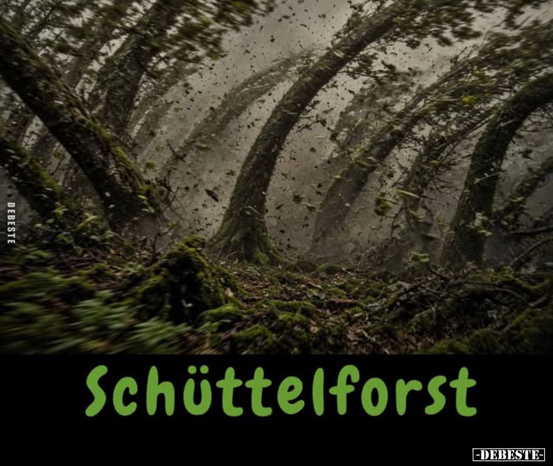 Schüttelforst.