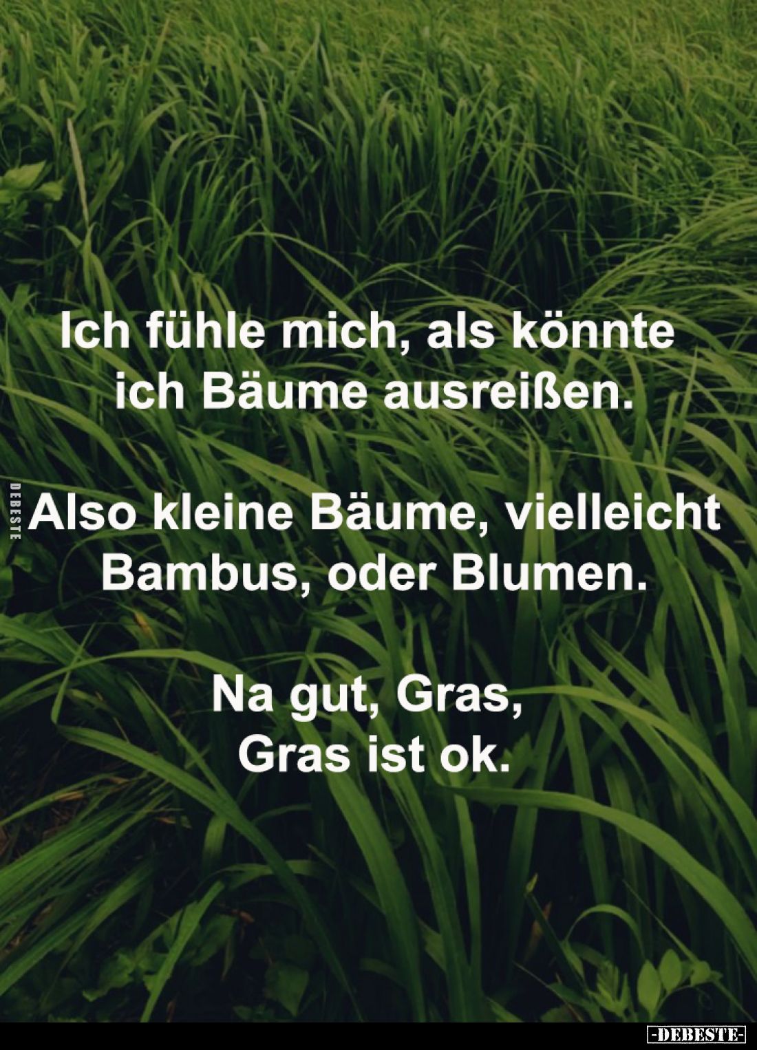 Ich fühle mich, als könnte ich Bäume ausreißen.
Also kleine Bäume, vielleicht Bambus, oder Blumen.
Na gut, Gras, Gras ist o...
