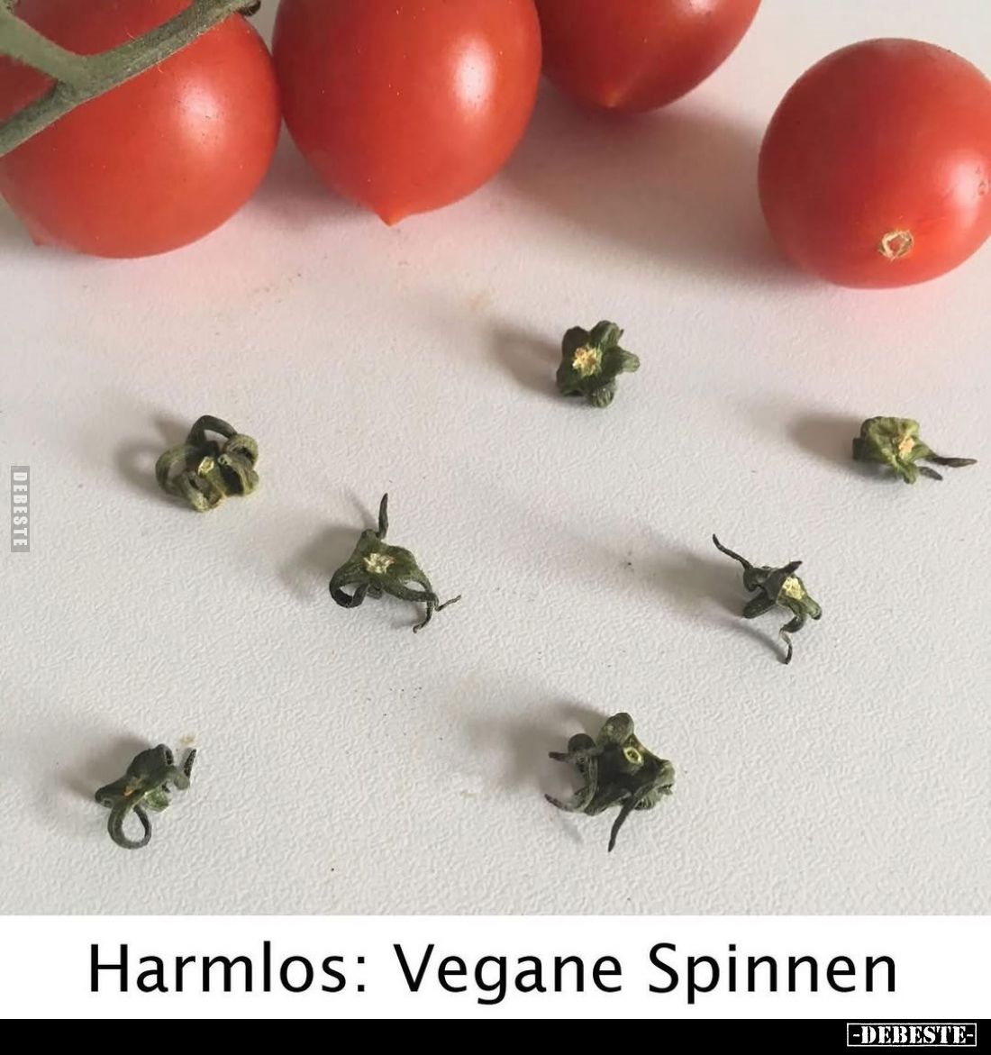 Harmlos: Vegane Spinnen.