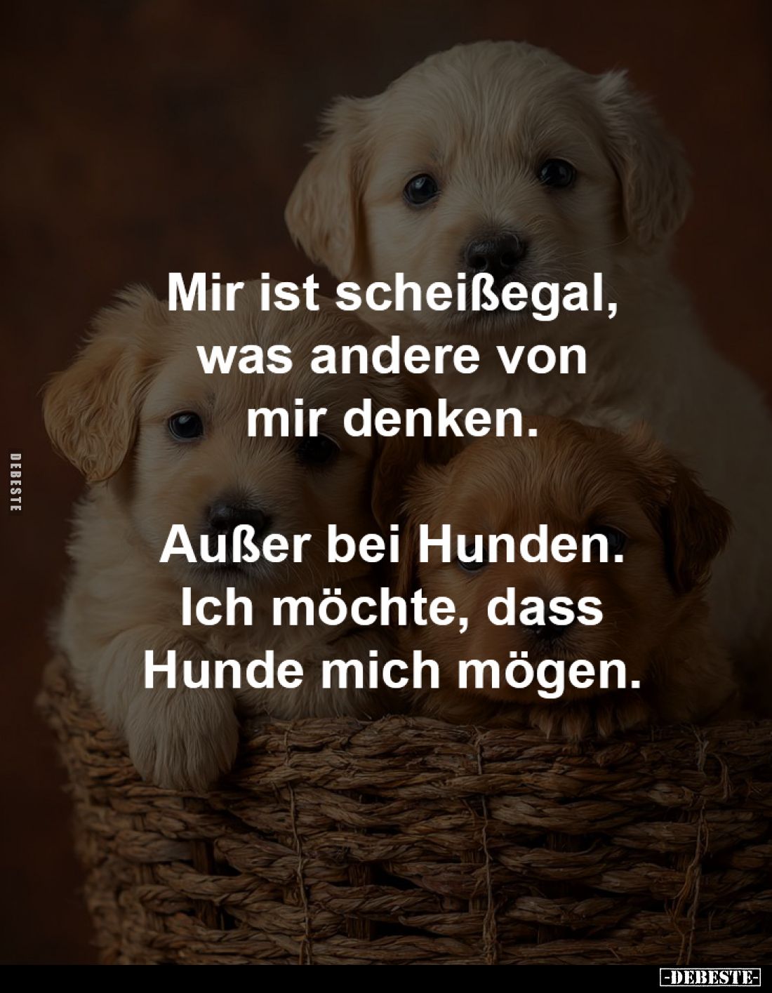 Mir ist scheißegal,
was andere von
mir denken.
Außer bei Hunden.
Ich möchte, dass
Hunde mich mögen.