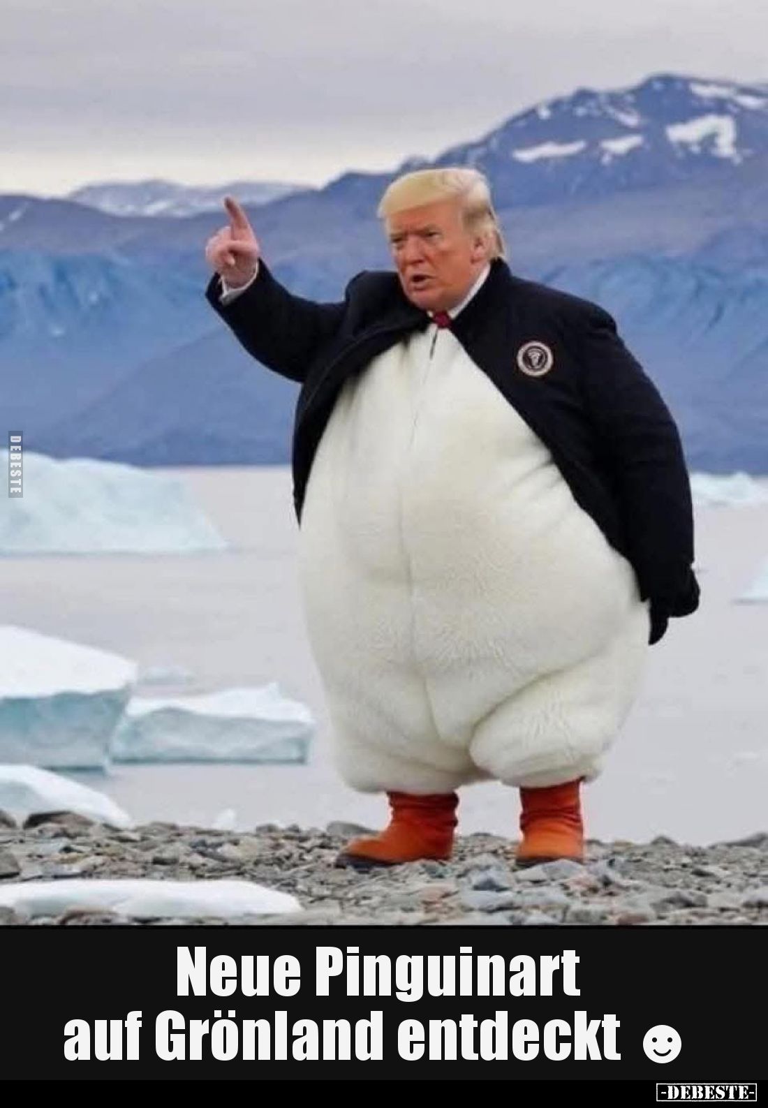 Neue Pinguinart auf Grönland entdeckt.