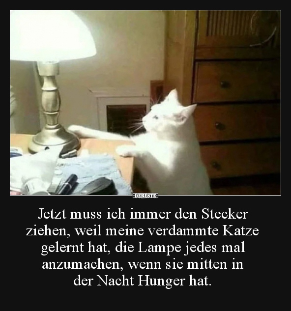 Jetzt muss ich immer den Stecker ziehen, weil meine..