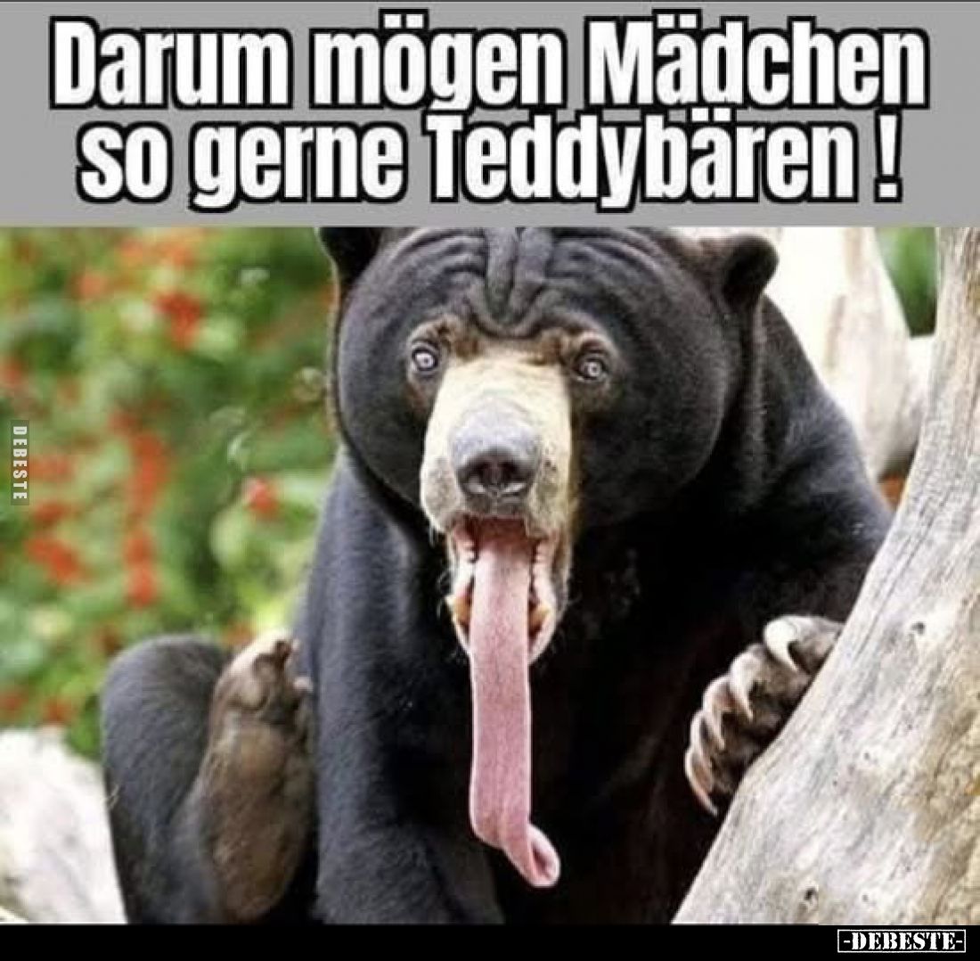 Darum mögen Mädchen so gerne Teddybären!