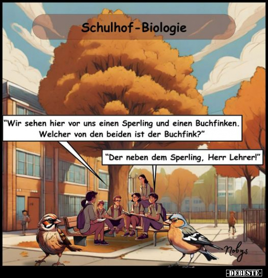 Schulhof-Biologie.. - Lustige Bilder | DEBESTE.de