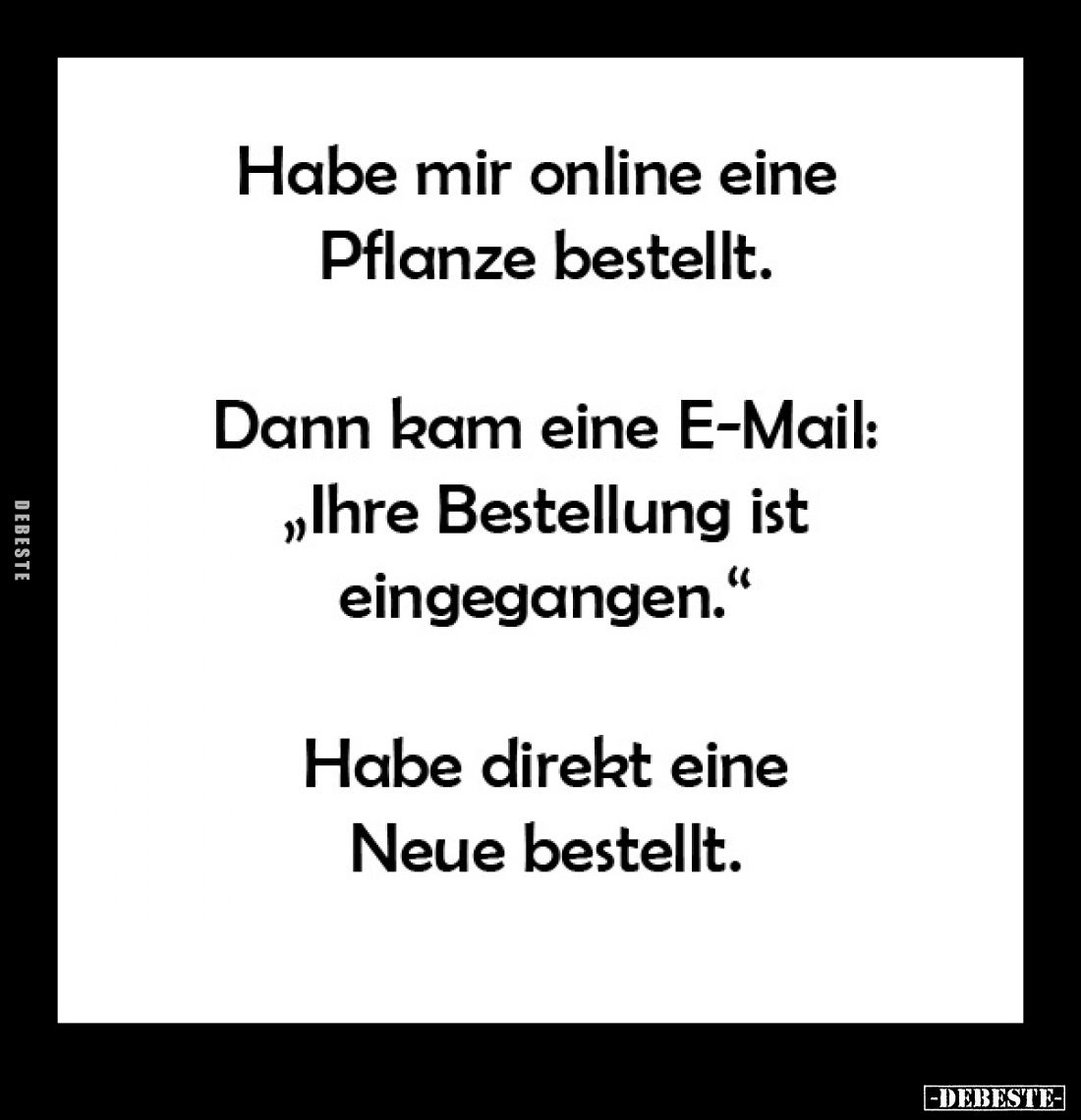 Habe mir online eine Pflanze bestellt. -
Dann kam eine E-Mail: "Ihre Bestellung ist eingegangen." -
Habe direkt e...