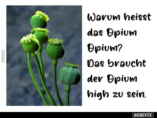 Warum heisst das Opium Opium?.. - Lustige Bilder | DEBESTE.de