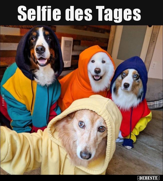 Selfie des Tages.. - Lustige Bilder | DEBESTE.de