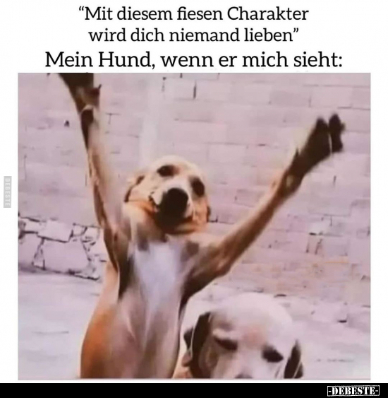 "Mit diesem fiesen Charakter wird dich niemand lieben".. - Lustige Bilder | DEBESTE.de