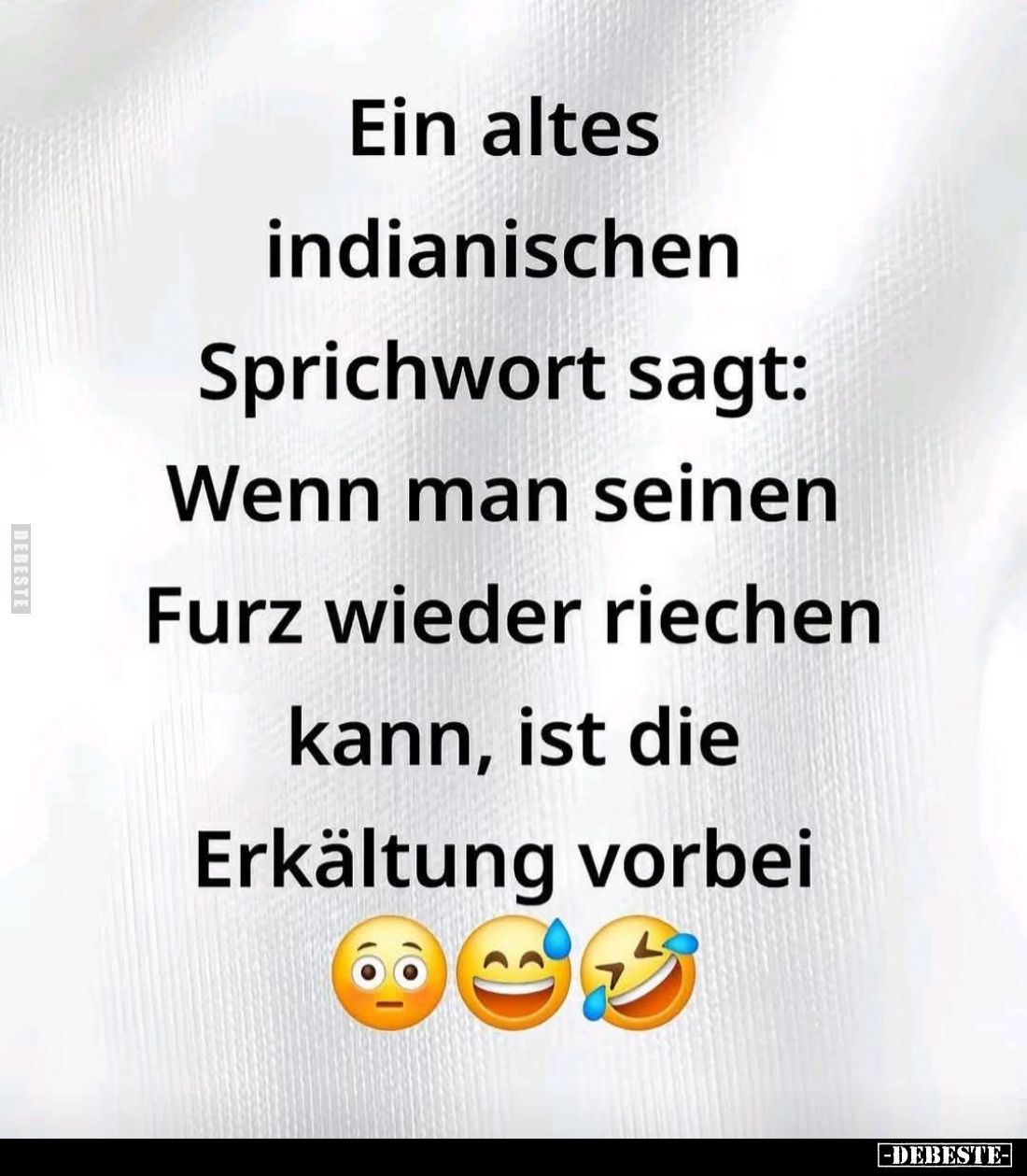 Ein altes indianischen Sprichwort sagt: Wenn man seinen Furz wieder riechen kann, ist die Erkältung vorbei.