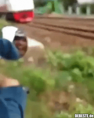 Lauf, Hühnchen, lauf!