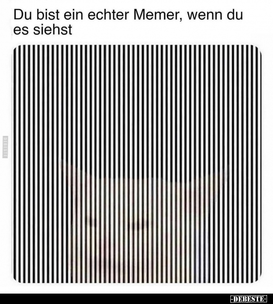 Du bist ein echter Memer, wenn du es siehst.. - Lustige Bilder | DEBESTE.de