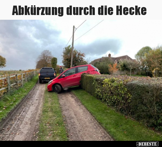 Abkürzung durch die Hecke.. - Lustige Bilder | DEBESTE.de