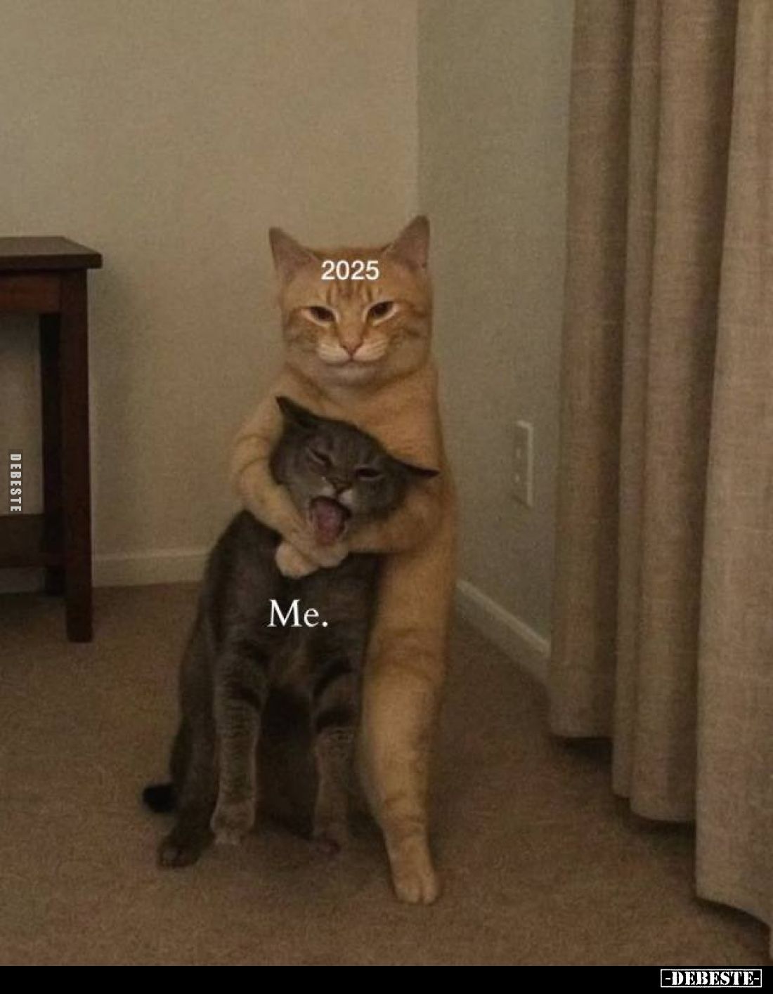  - Lustige Bilder | DEBESTE.de