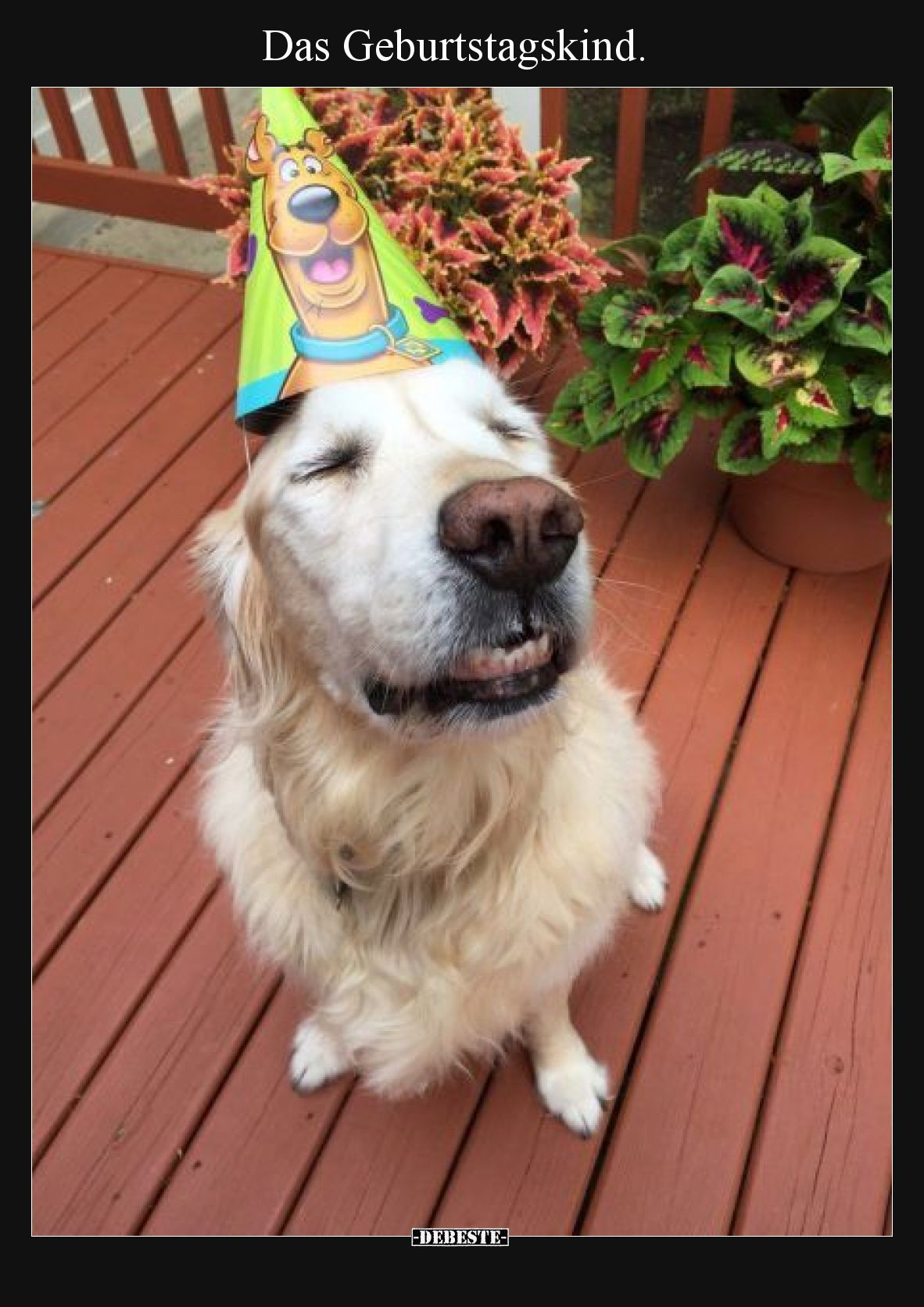 Das Geburtstagskind