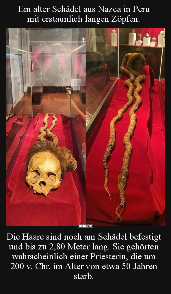 Ein alter Schädel aus Nazca in Peru mit erstaunlich langen.. - Lustige Bilder | DEBESTE.de