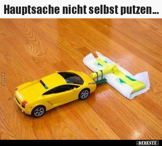 Hauptsache nicht selbst putzen... - Lustige Bilder | DEBESTE.de