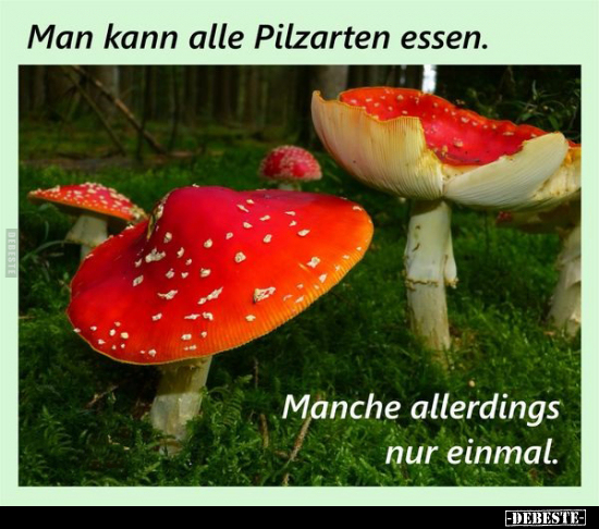 Man kann alle Pilzarten essen.. - Lustige Bilder | DEBESTE.de