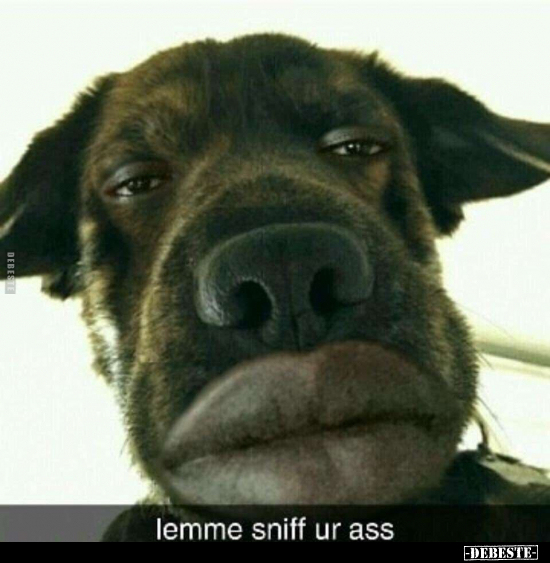lemme sniff ur ass