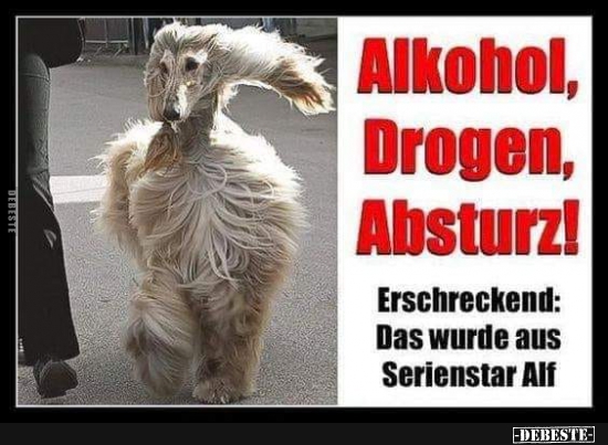 Alkohol, Drogen, Absturz! - Lustige Bilder | DEBESTE.de