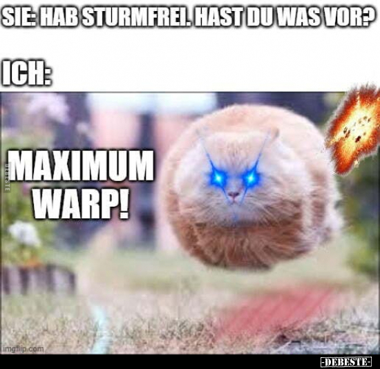 Sie: Hab sturmfrei. Hast du was vor?... - Lustige Bilder | DEBESTE.de