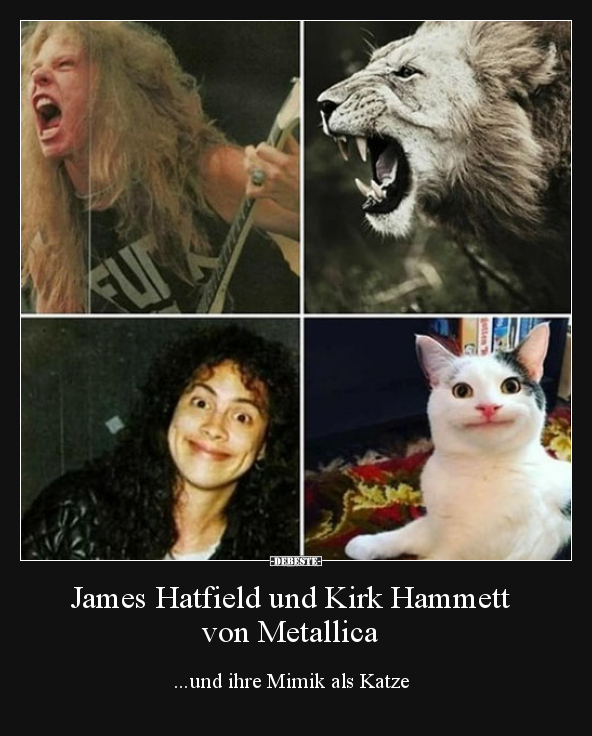 James Hatfield und Kirk Hammett von Metallica.. - Lustige Bilder | DEBESTE.de