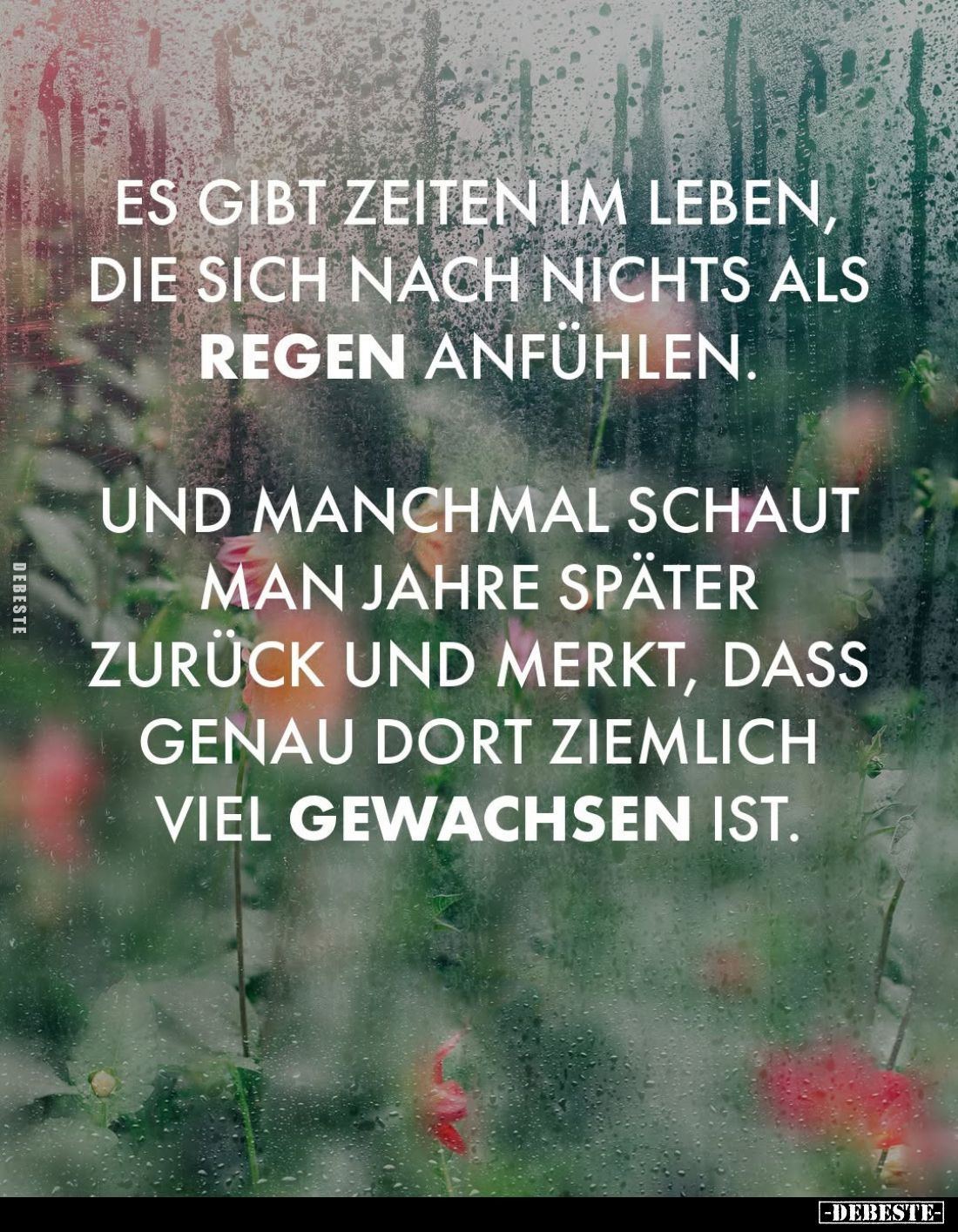 Es gibt Zeiten im Leben, die sich nach nichts als Regen anfühlen.
Und manchmal schaut man Jahre später zurück und merkt, das...